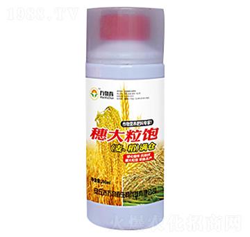 200ml穗大粒飽小麥水稻滿倉(cāng)-萬(wàn)物春