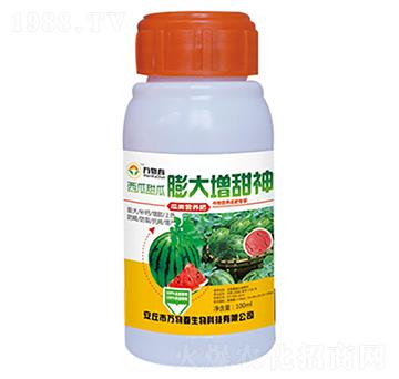 100ml西瓜甜瓜膨大增甜神-萬物春