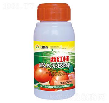 100ml西紅柿膨大無極限-萬物春