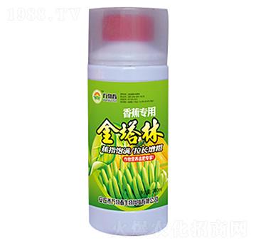 香蕉金塔林-萬物春