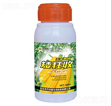100ml玉米粗縮矮狂收-萬(wàn)物春