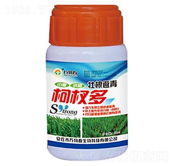 60ml壯根返青柯杈多-萬物春