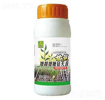 甘蔗增甜增糖鉆天直-萬(wàn)物春