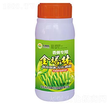 �㽶��(zhu��n)�ý�����-�f(w��n)�ﴺ
