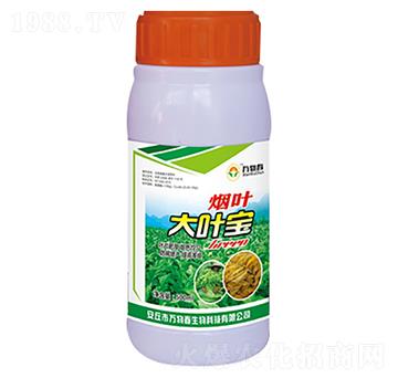 500ml���~���~��-�f(w��n)�ﴺ