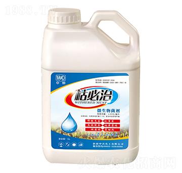 ΢�������-�ݱ���-����