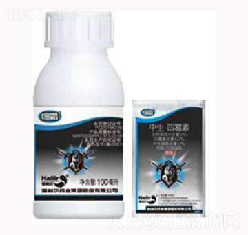 細(xì)霸-海利爾