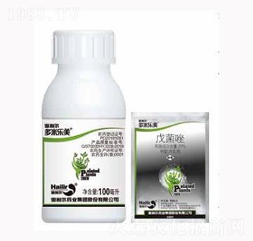 ���ט�(l��)��-������