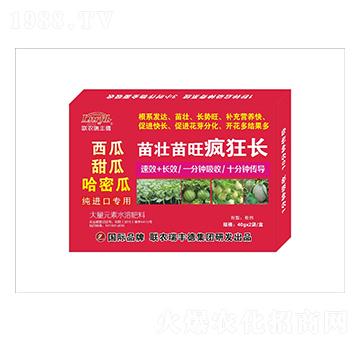 大量元素水溶肥-苗壯苗旺瘋狂長(zhǎng)-瑞豐德