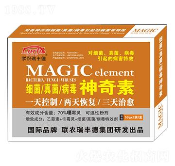 �����������������-(li��n)�r(n��ng)���S��