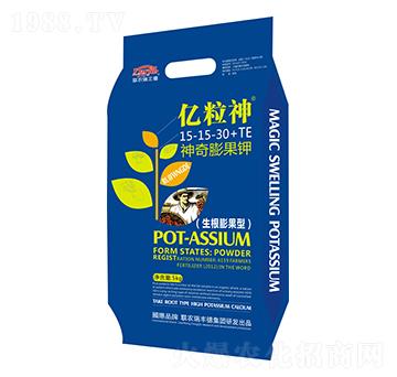 ��������15-15-30+TE-�|����-���S��