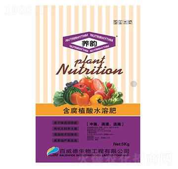 �B(y��ng)퍺���ֲ���ͺ���ֲ��