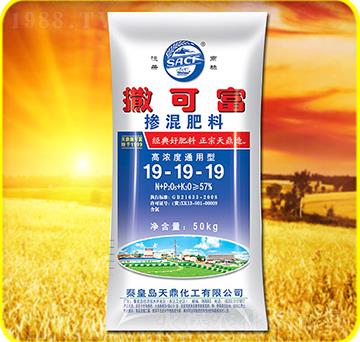 �������19-19-19-���ɸ�-���˻���