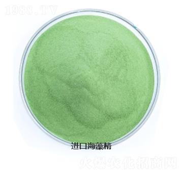 �M�ں��徫-���L�`