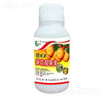 �����n����-�G���S-��������