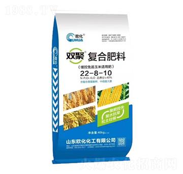 �p�ۏ�(f��)�Ϸ���22-8-