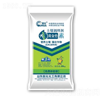 �S�����������{(di��o)�턩-�W��