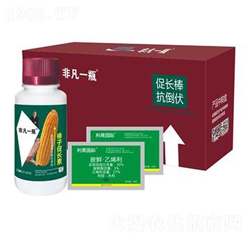 ���Ӵ��L��-�Ƿ�һƿ-�������H