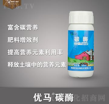 ��(y��u)�R̼ø-��(y��u)�R����