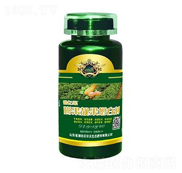 ����n�����ׄ�-�|��-������