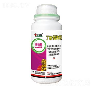 25%�������p-�豶��-��������