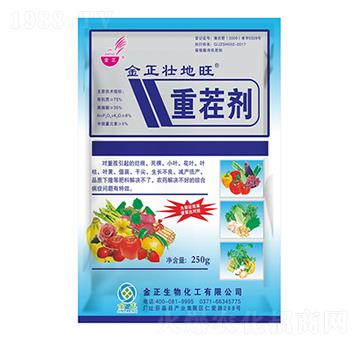 250g�ز焩-�ѵ���