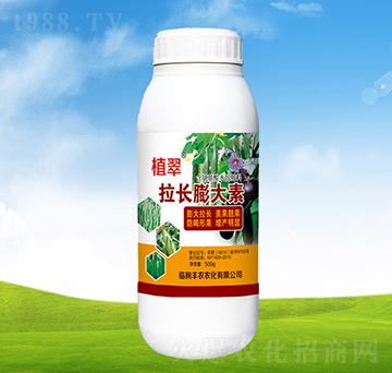 ���L(zh��ng)�����-ֲ��-�S�r(n��ng)