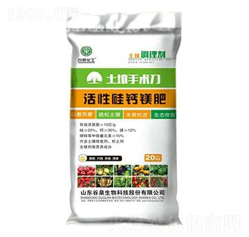 ���Թ��}�V��-�������g(sh��)��-��Ȫ����