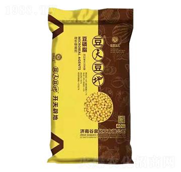 ����֬-���춹��-��Ȫ����