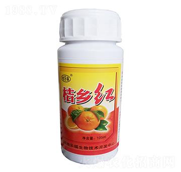 ���l(xi��ng)�t-�ؘ���