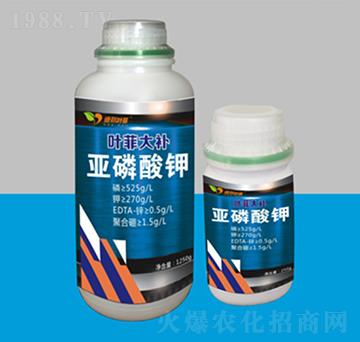 �������-�~�ƴ��a-�°��~��