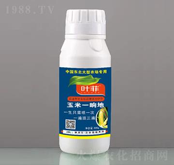 玉米一晌地-德邦葉菲