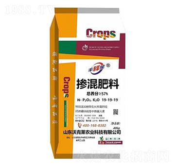 �������19-19-19-�ֿ��R