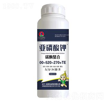 ̼ø���ρ������00-