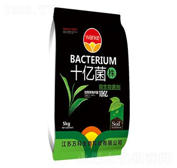 ʮ�|���꣨10�|����-