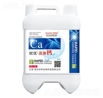 �W��(y��u)�����w�}-�f��