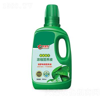 綠蘿專用濃縮營養(yǎng)液-輝美樂-正華力致
