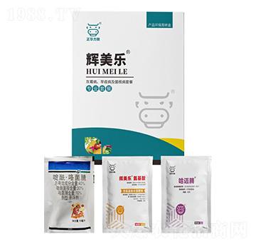 灰霉病、早疫病及菌核病套餐-輝美樂-正華力致