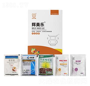 ���������o�����������ݲ�����ή���ײ�-�x����-���A����