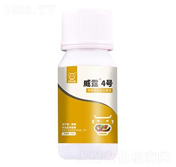 ���x֬��ȡ��-����4̖-���A����