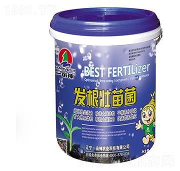 �l(f��)�������-һ����