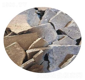 ������-ʥ������