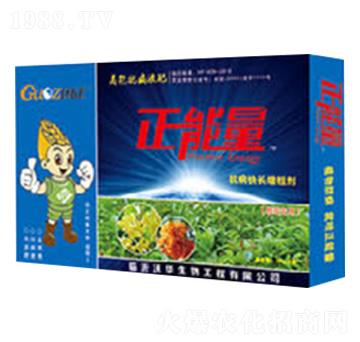 桂花專(zhuān)用抗病快長(zhǎng)增粗劑-正能量