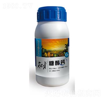 糖醇鈣-知青-正能量