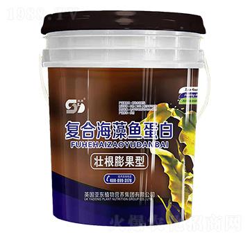 �Ѹ�����͏ͺϺ����~��