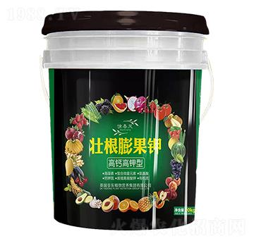 ���}����͉Ѹ�����-