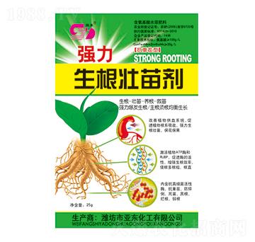 �����������焩-�p�|-