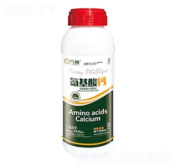 500ml�������}-����