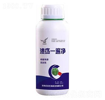 ����һ���-�w�}(c��ng)����