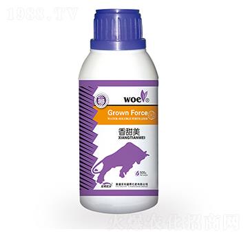 ������-�֠�